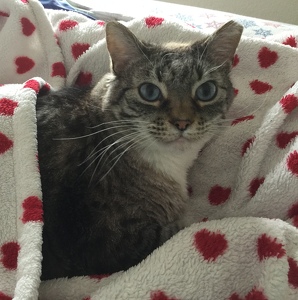 Fundraising Page: James Christofferson